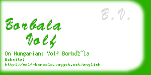 borbala volf business card